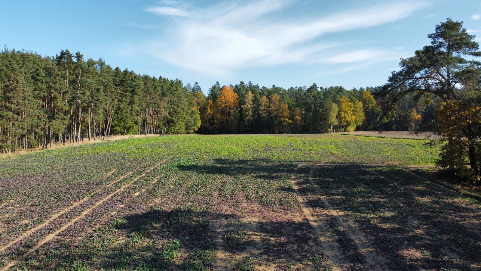 dji_fly_20241024_132714_695_1729769292422_photo_op