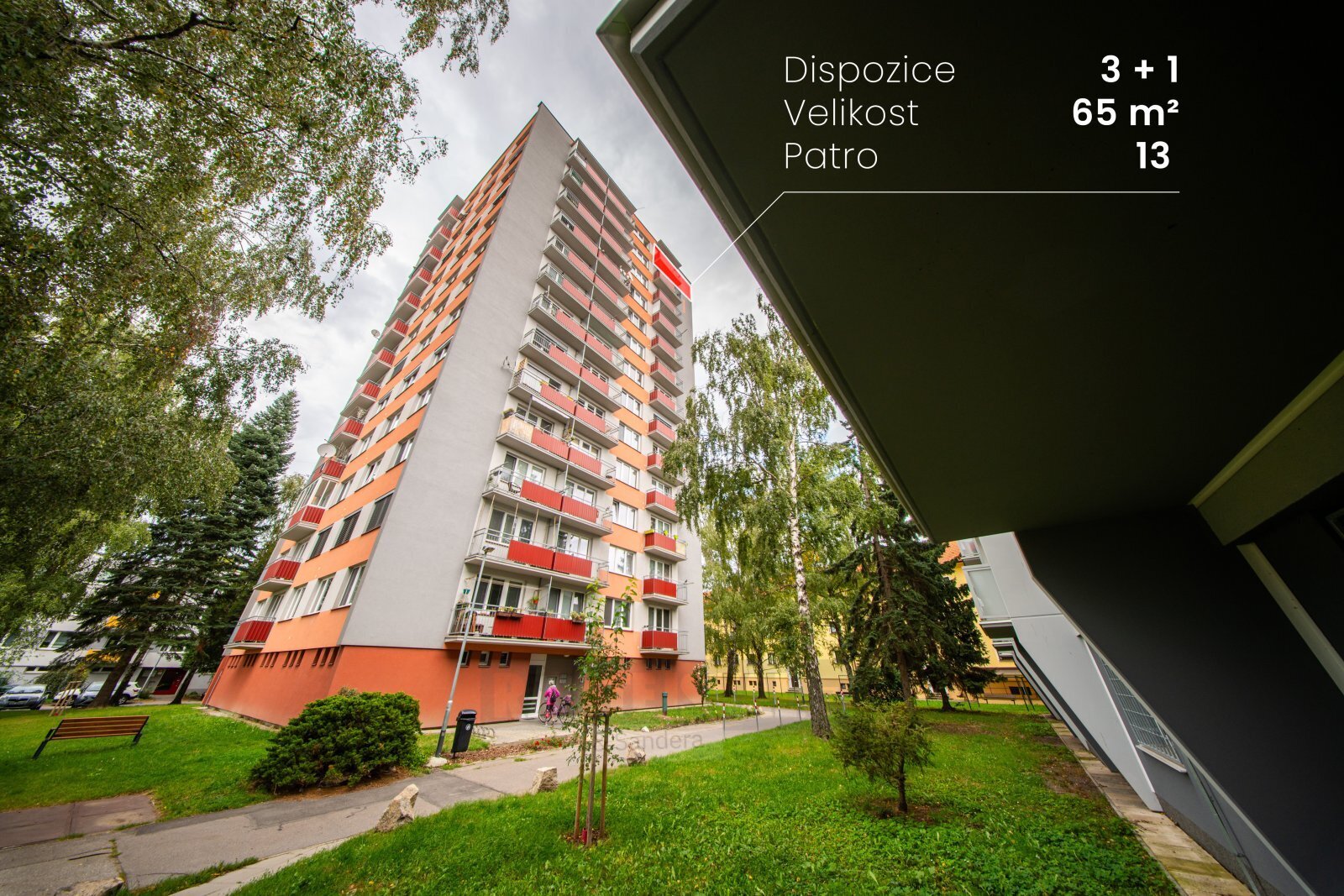 Copy of DSC04513.jpg