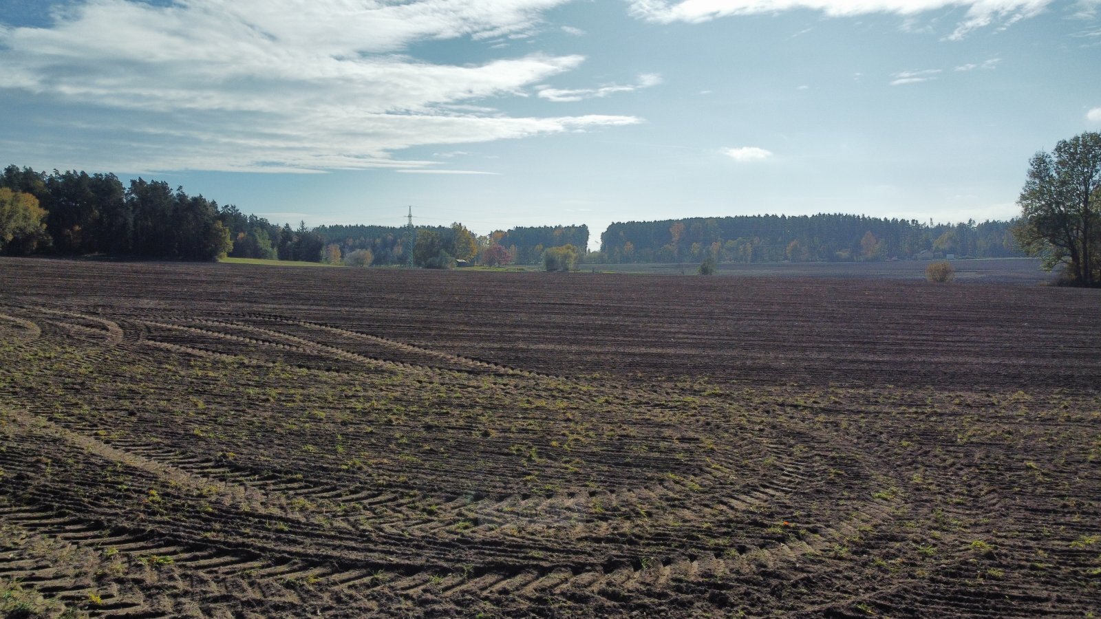 dji_fly_20241024_132832_700_1729769361176_photo_optimized.jpg