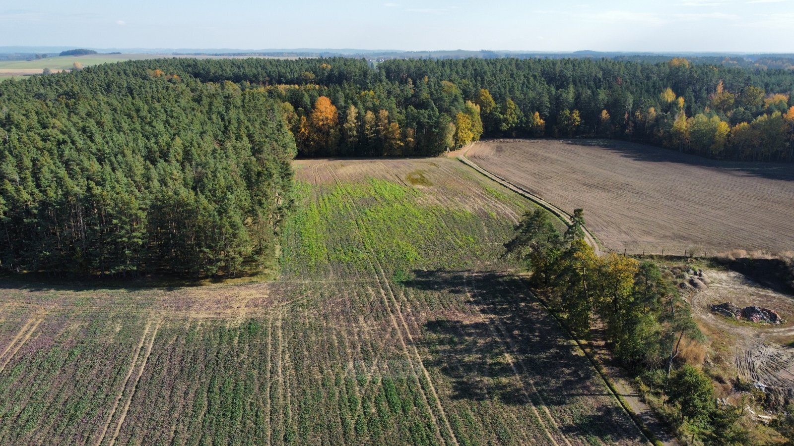 dji_fly_20241024_132538_692_1729769302509_photo_optimized.jpg