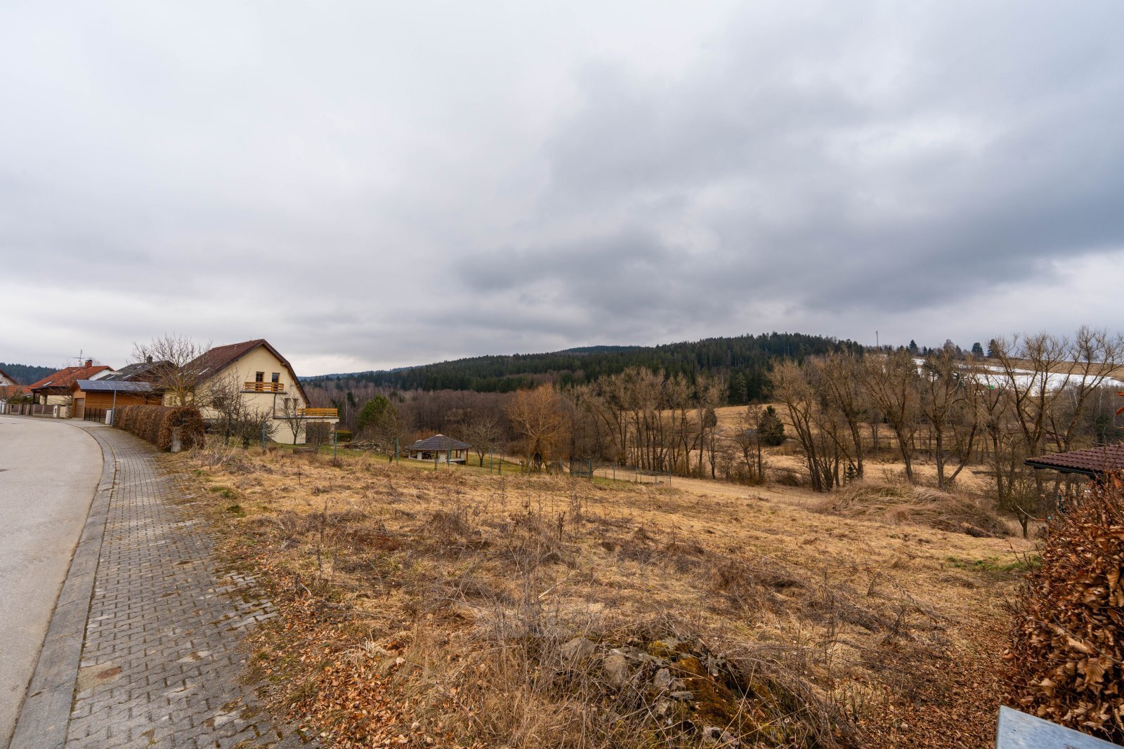 DSC07610.jpg