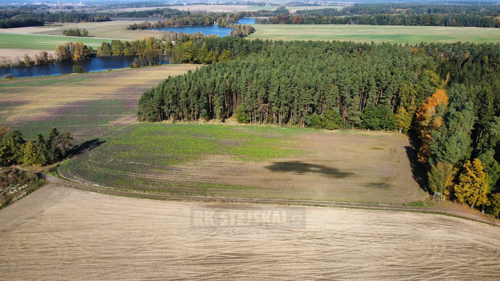 dji_fly_20241024_132424_690_1729769311235_photo_optimized.jpg