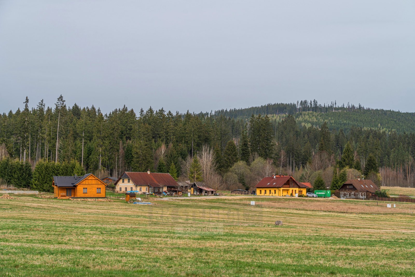 DSC09584.jpg