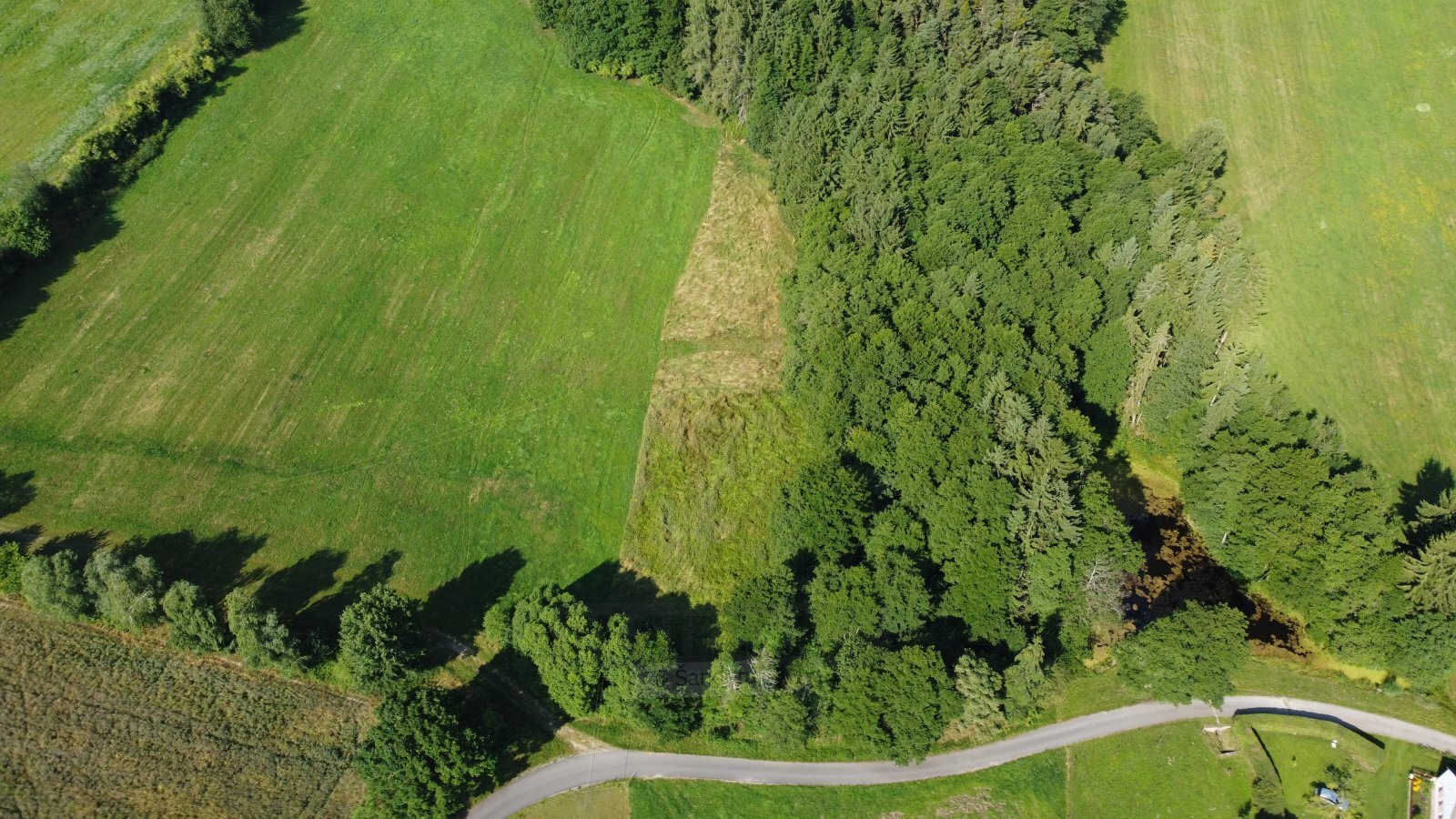 DJI_0868.JPG