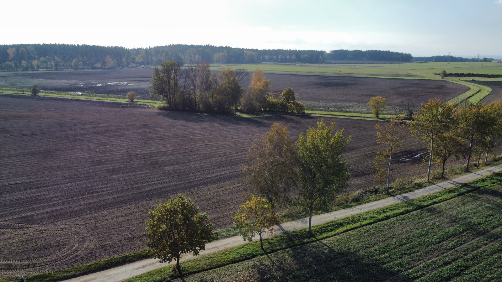 dji_fly_20241024_133418_714_1729769672184_photo_optimized.jpg