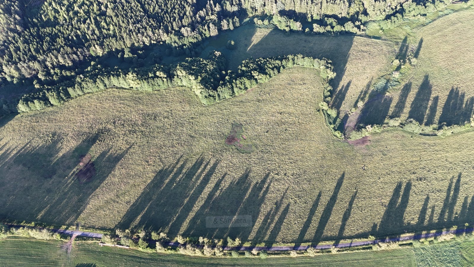 DJI_20250707194517_0226_D.JPG