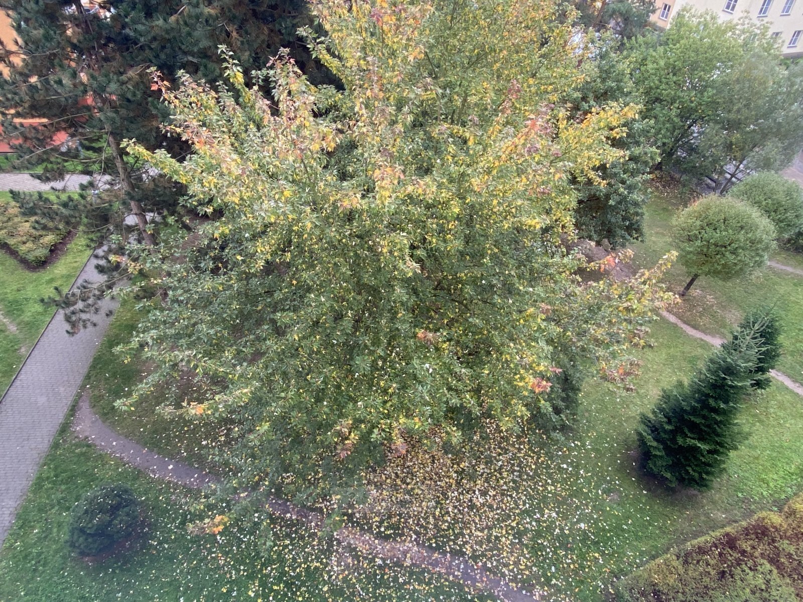 IMG_6466.JPG