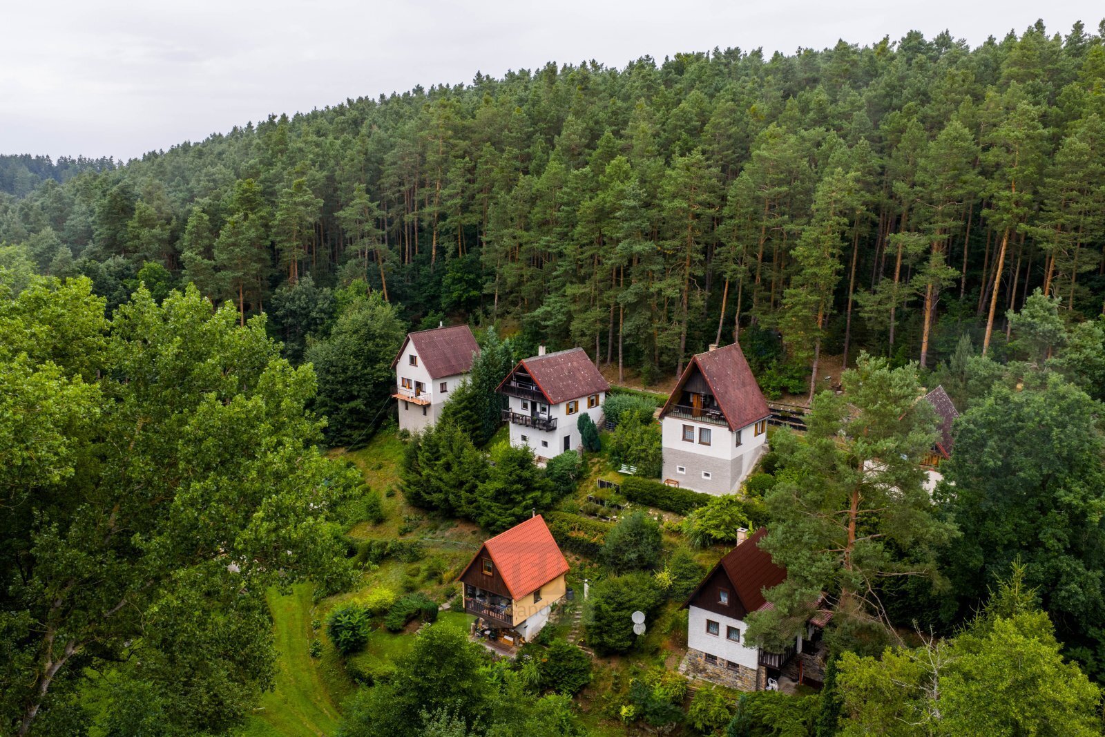 2DJI_20250730093558_0533_D.jpg