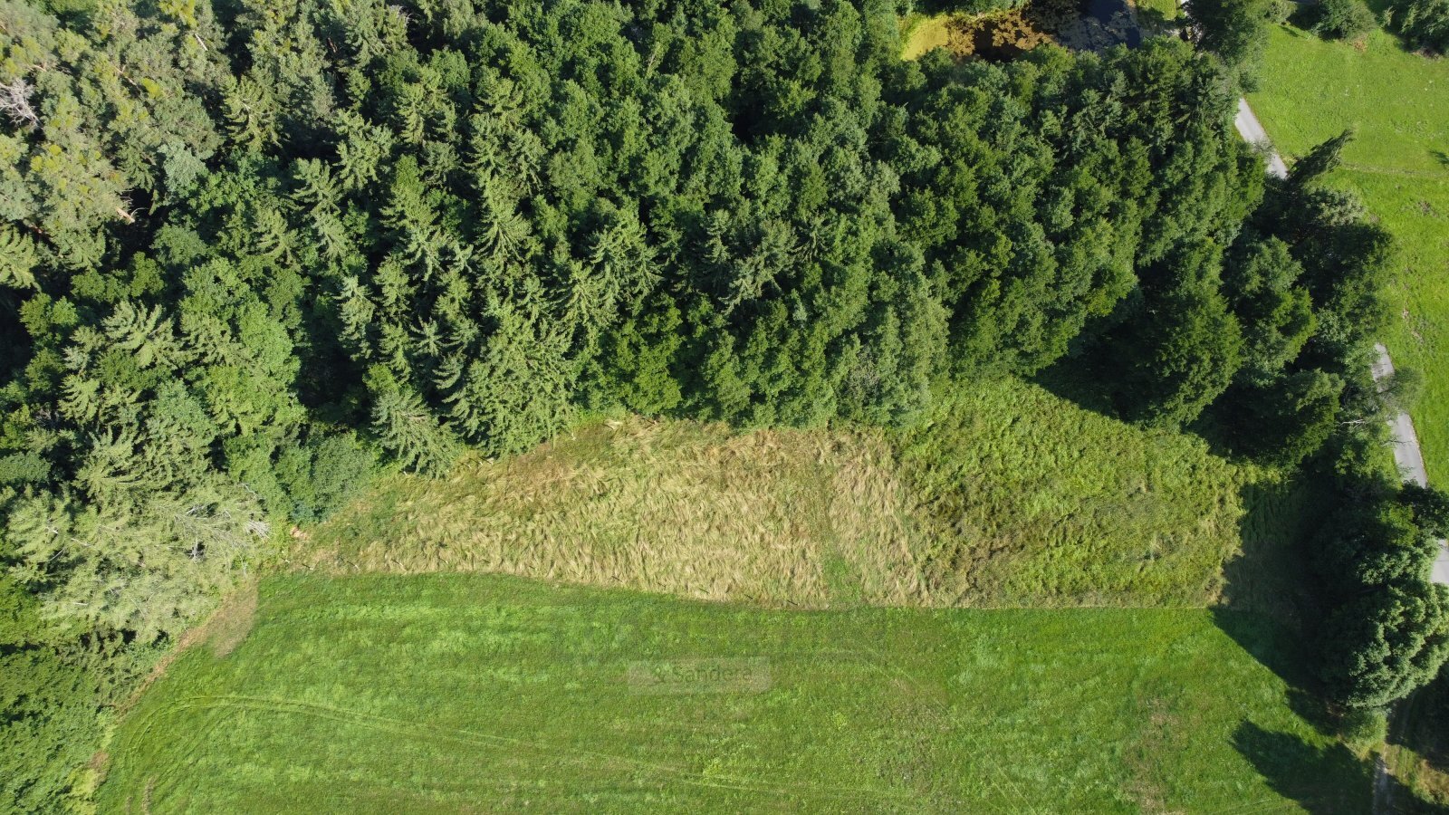 DJI_0863.JPG