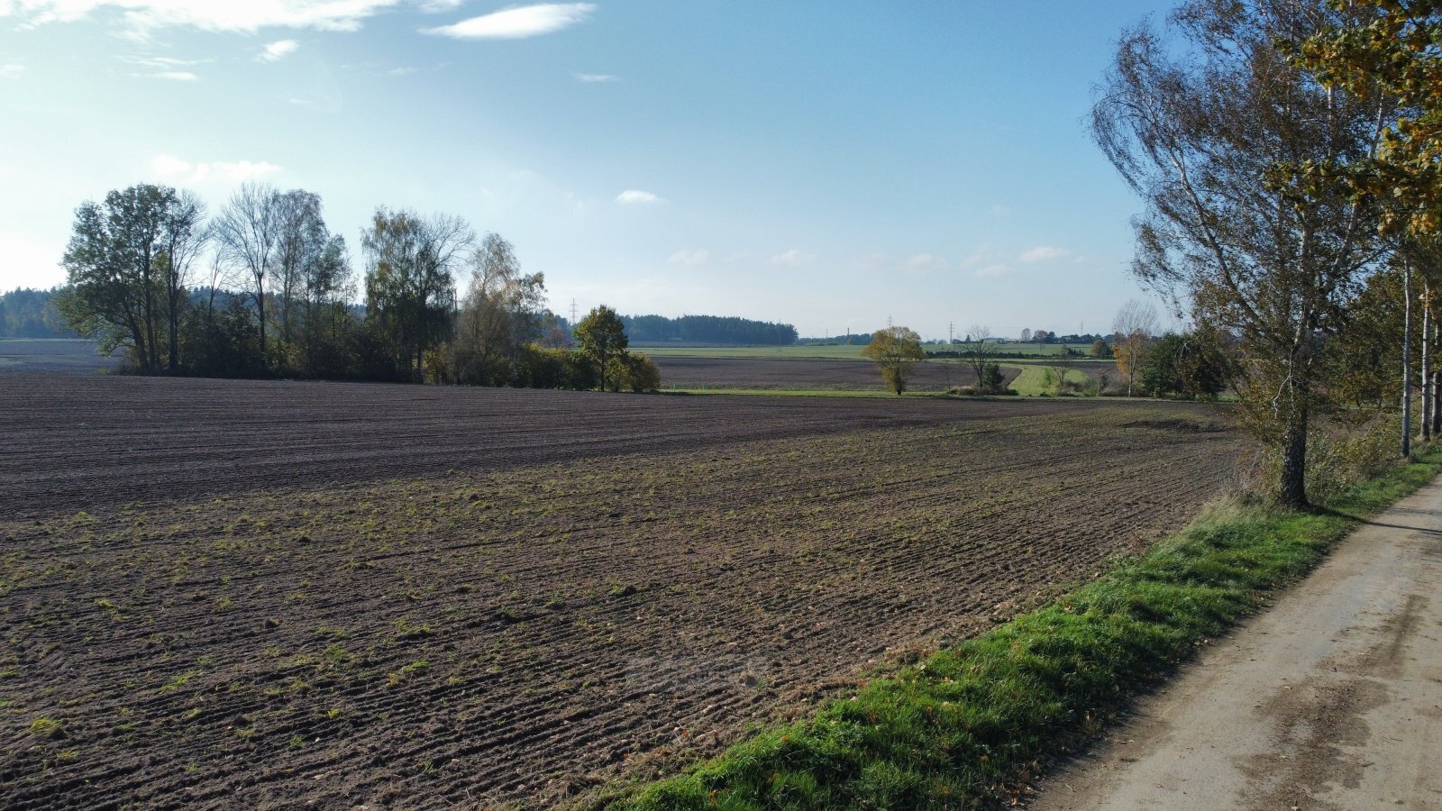 dji_fly_20241024_132836_701_1729769364402_photo_optimized.jpg