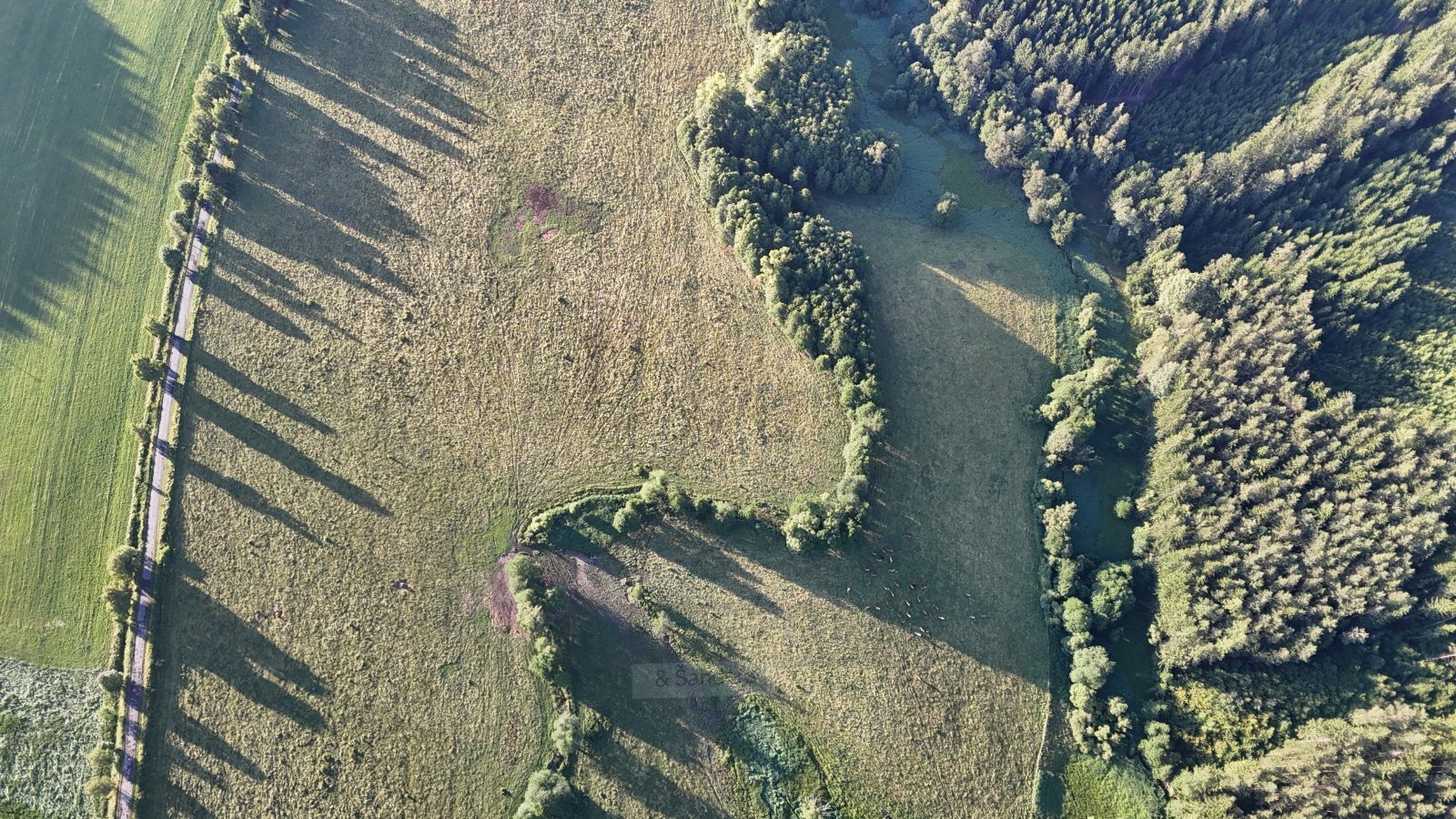 DJI_20250707194347_0225_D.JPG