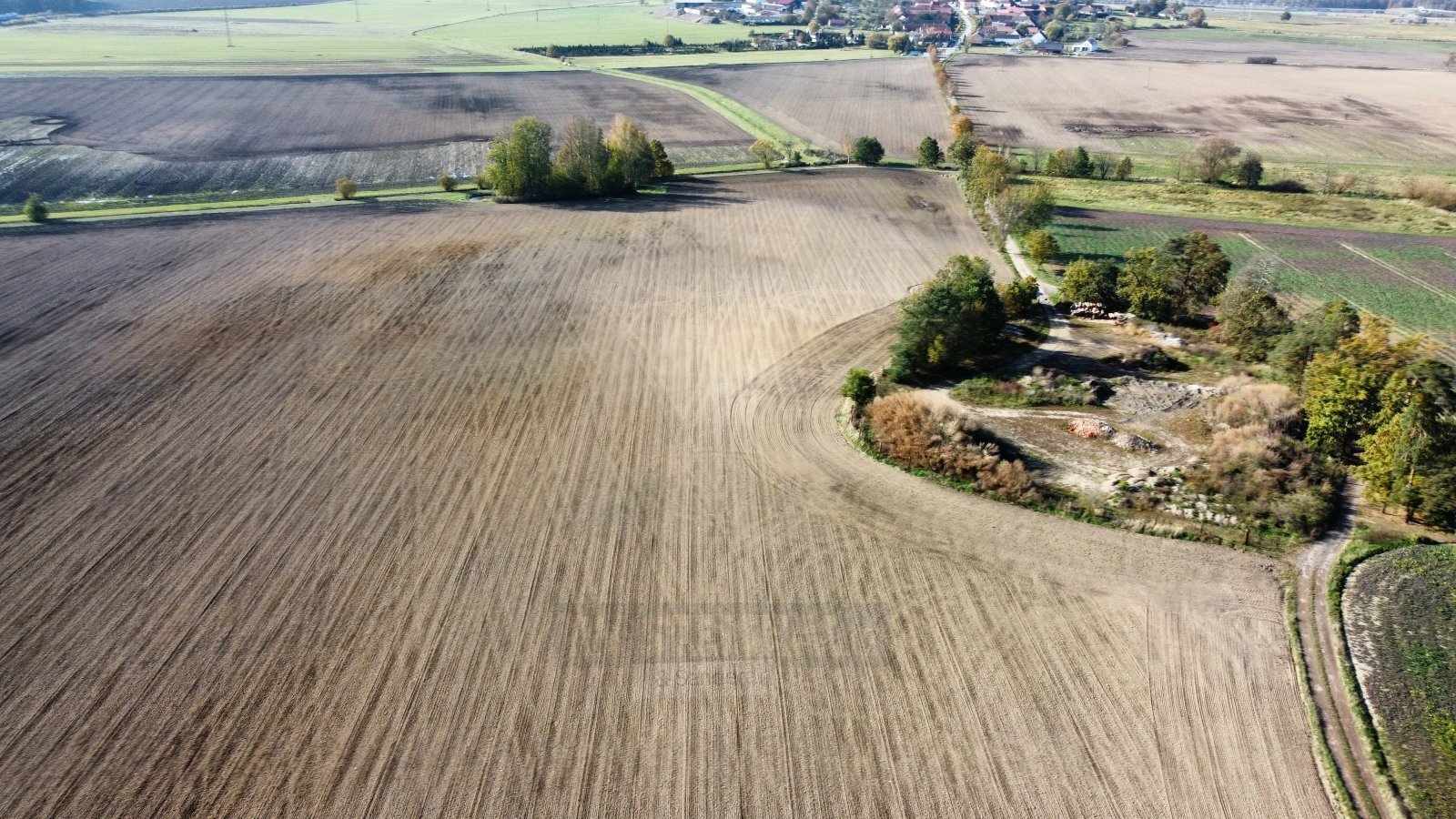 dji_fly_20241024_134138_721_1729770127120_photo_optimized.jpg