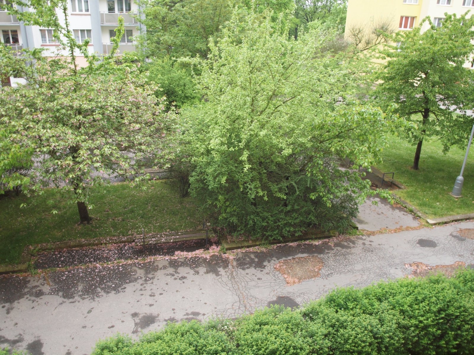 1920x1920-k25c3-9c614-pronajem-zarizeneho-bytu-47m