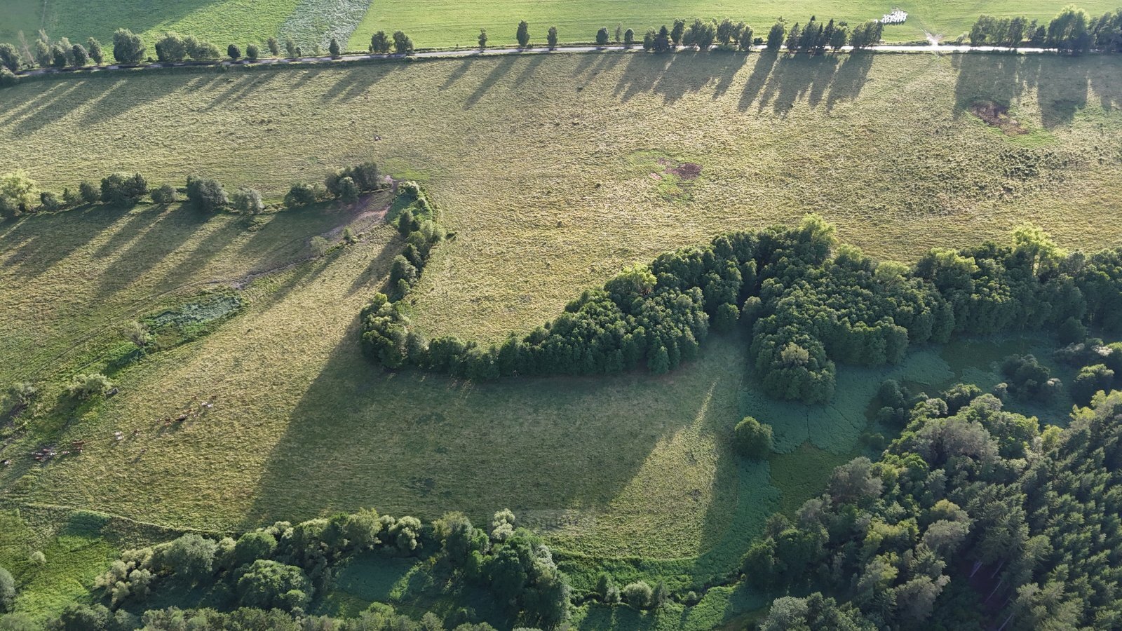 DJI_20250707192317_0223_D.JPG