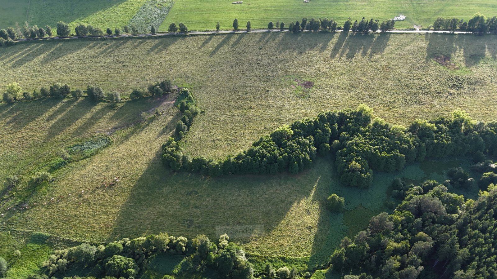 DJI_20250707192325_0224_D.JPG