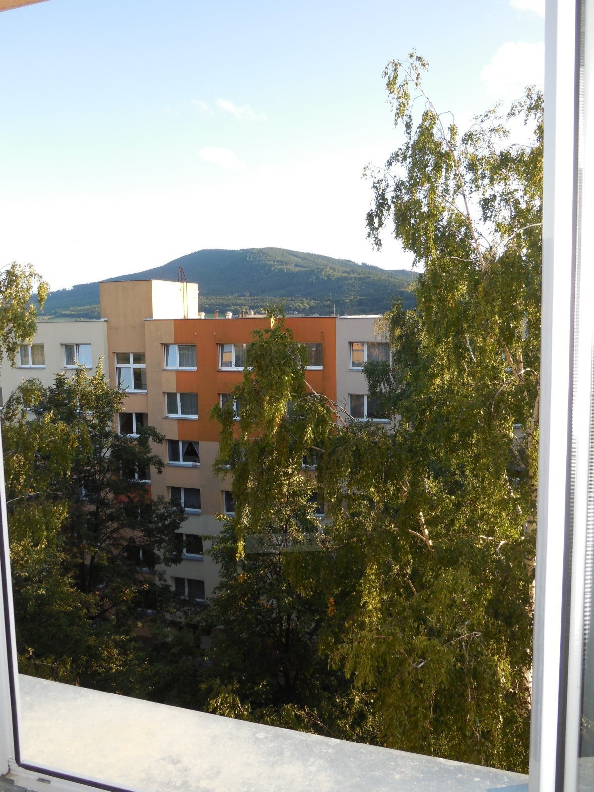 DSCN9994.jpg