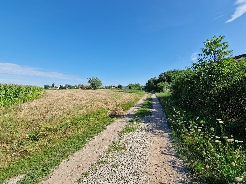 spodní_příjezdová_cesta