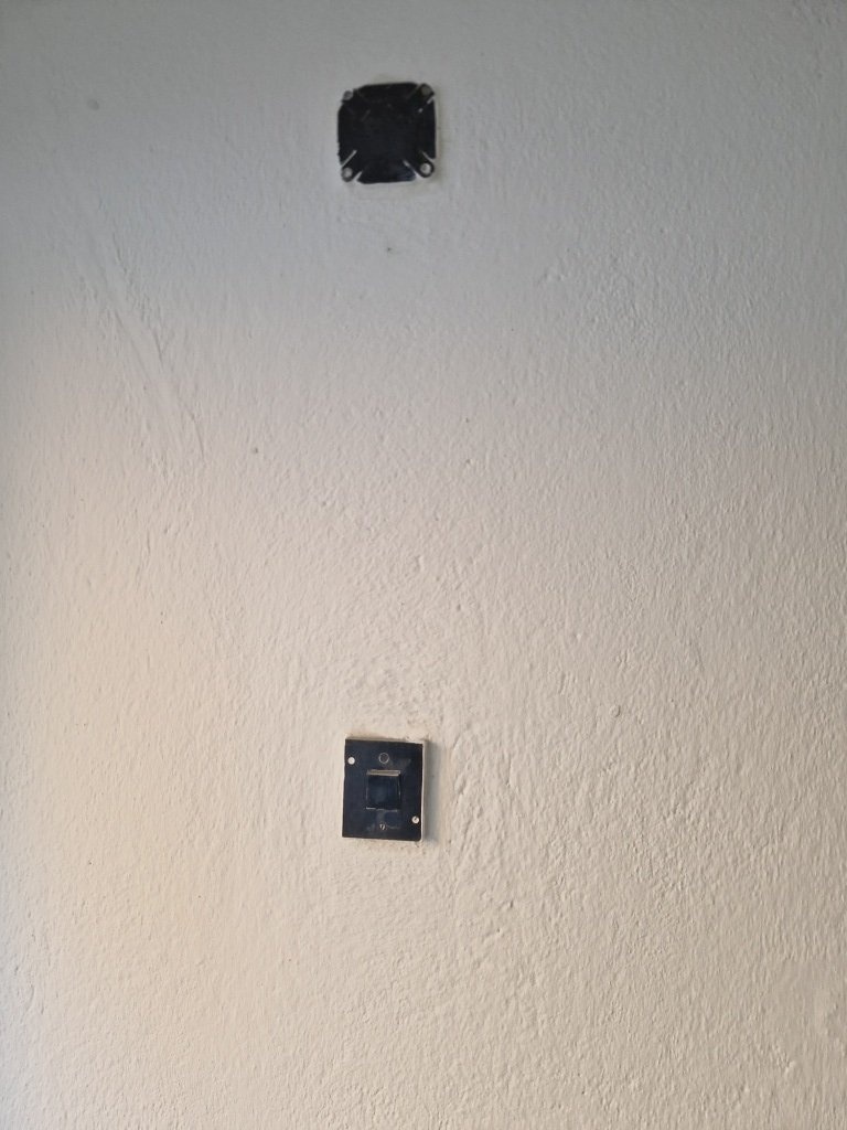 20241024_165635