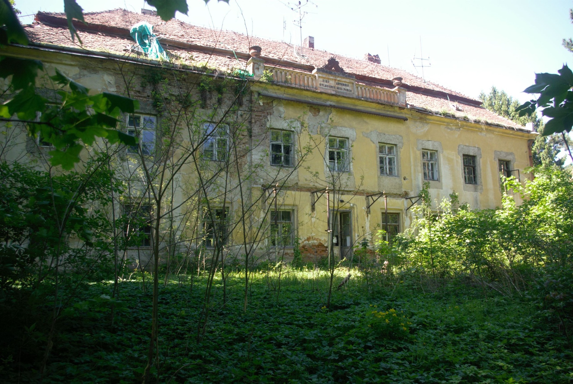 IMGP3270
