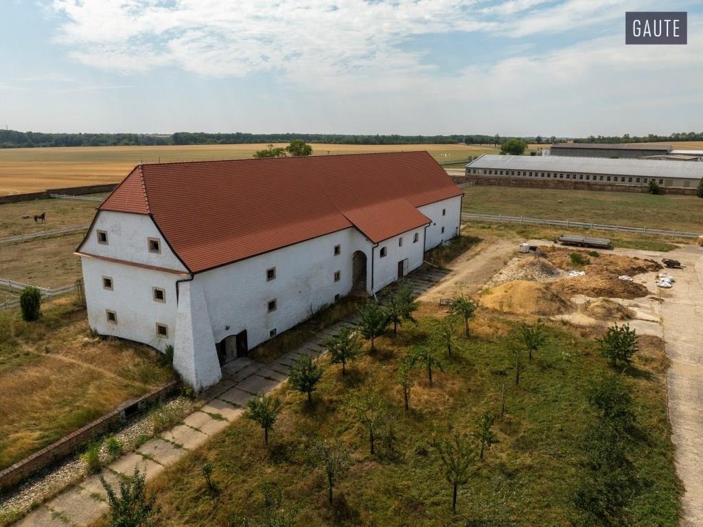 DJI_0728