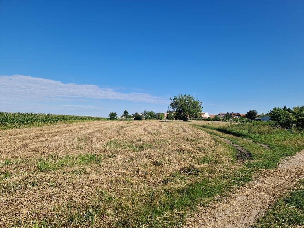foto_2