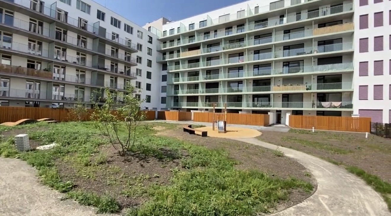image10