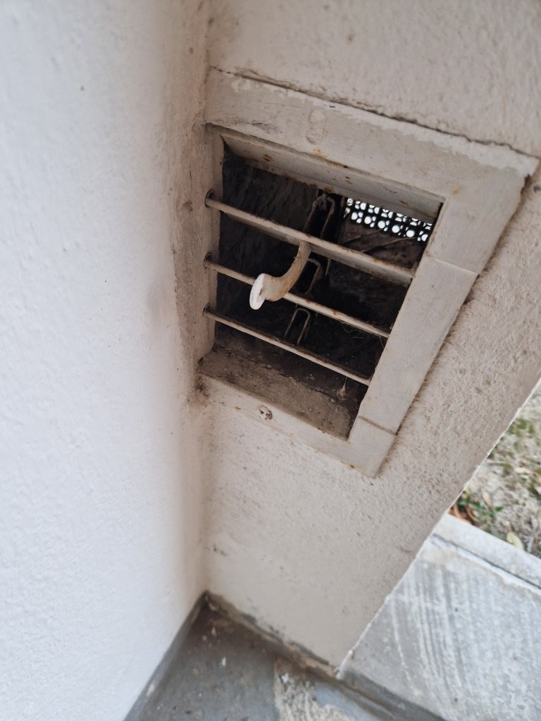 20241024_165638