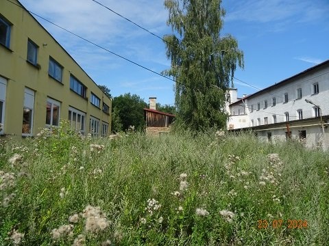 DSC09232