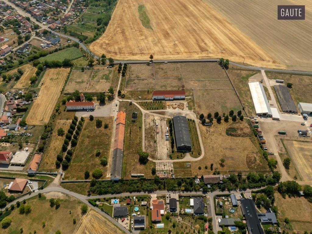 DJI_0677