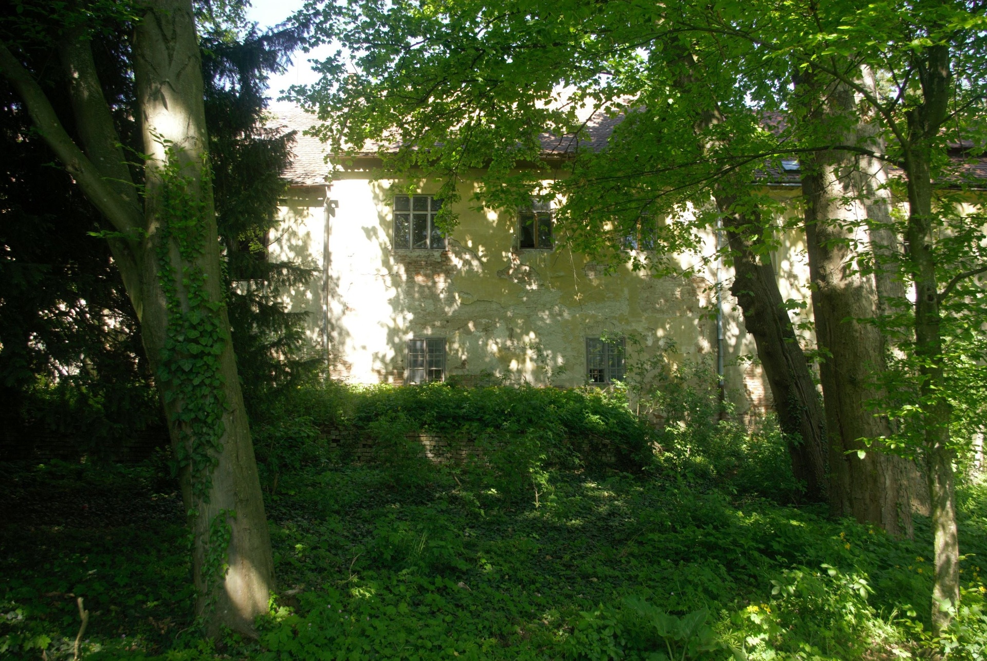 IMGP3282