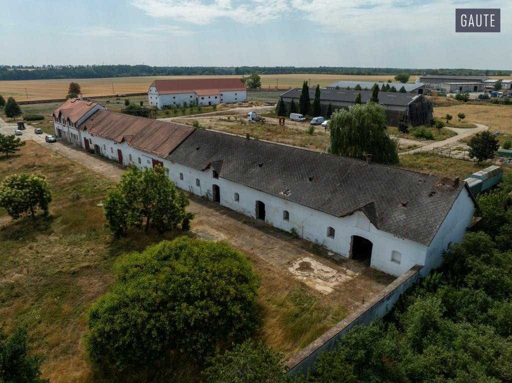 DJI_0755