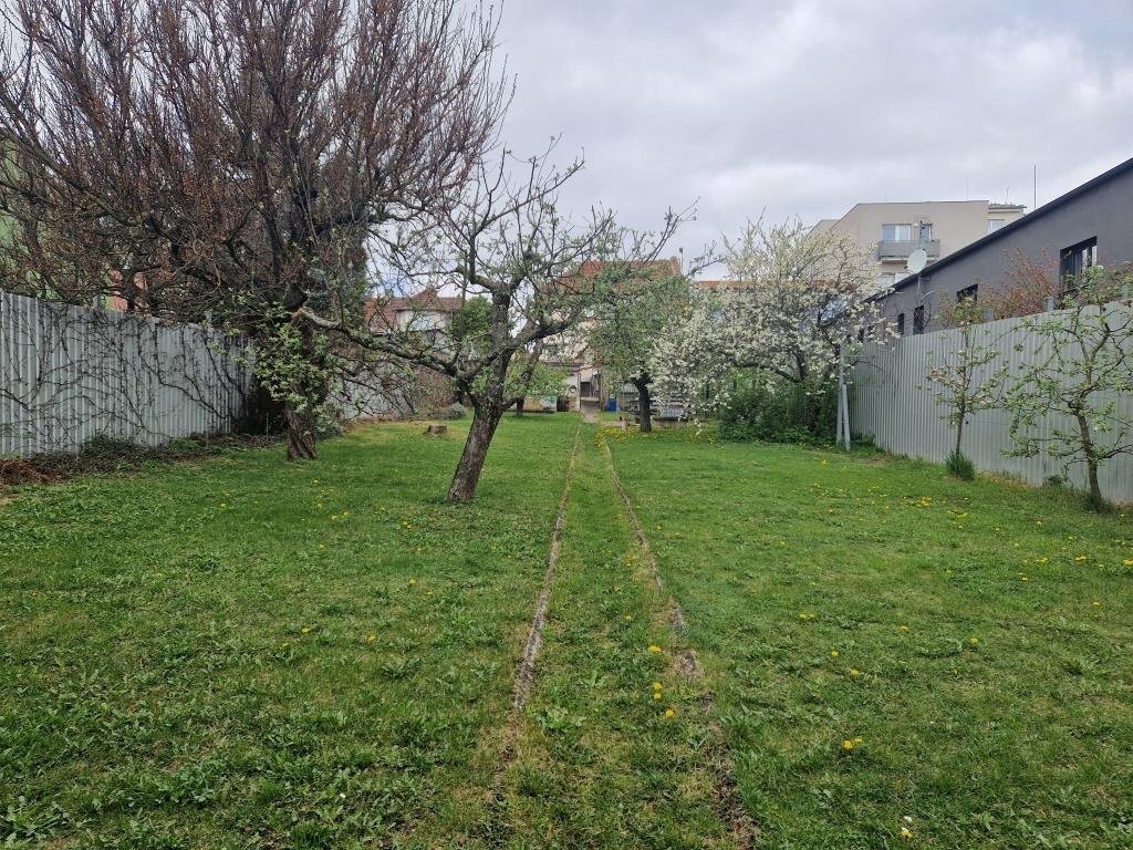 zahrada