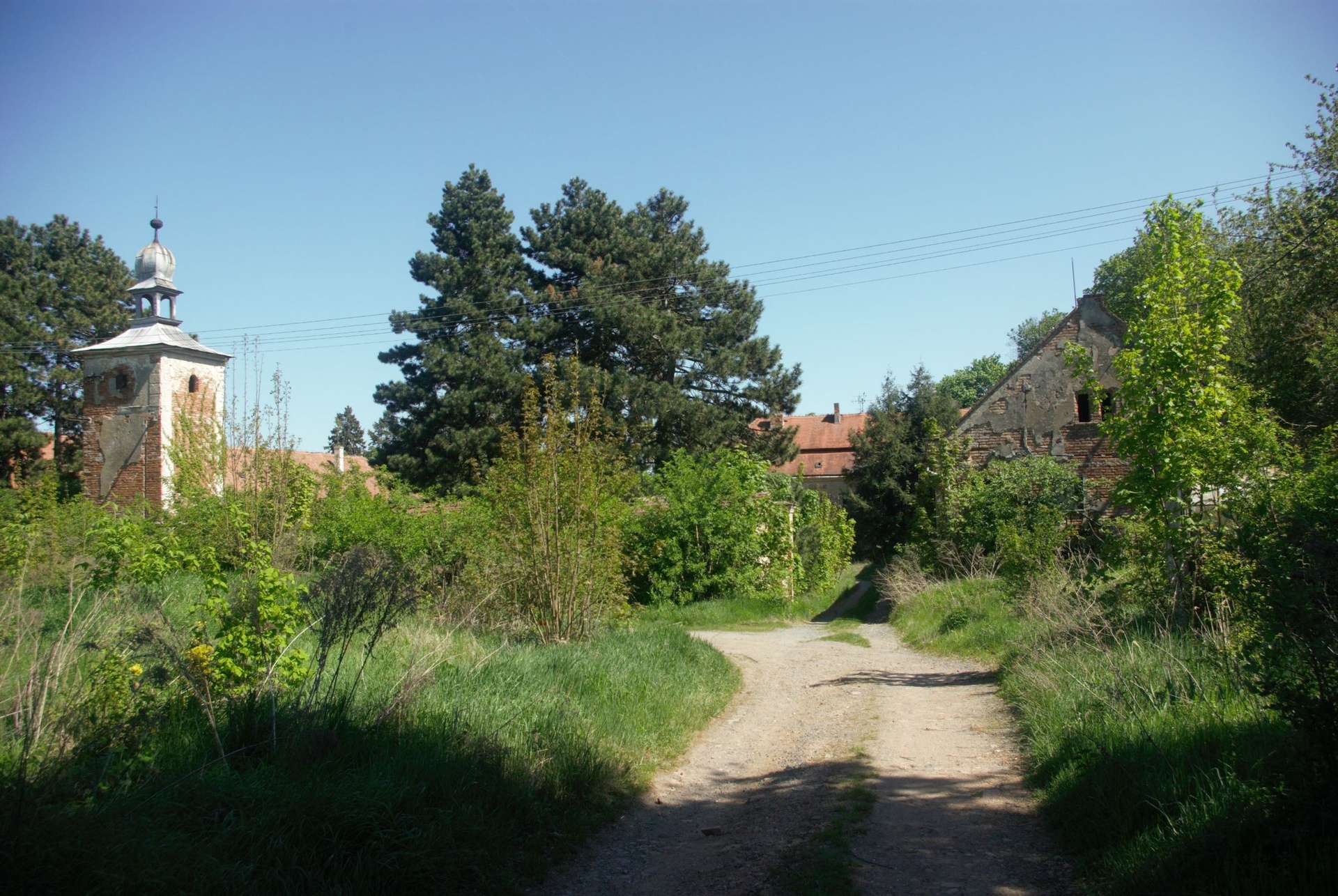 IMGP3263
