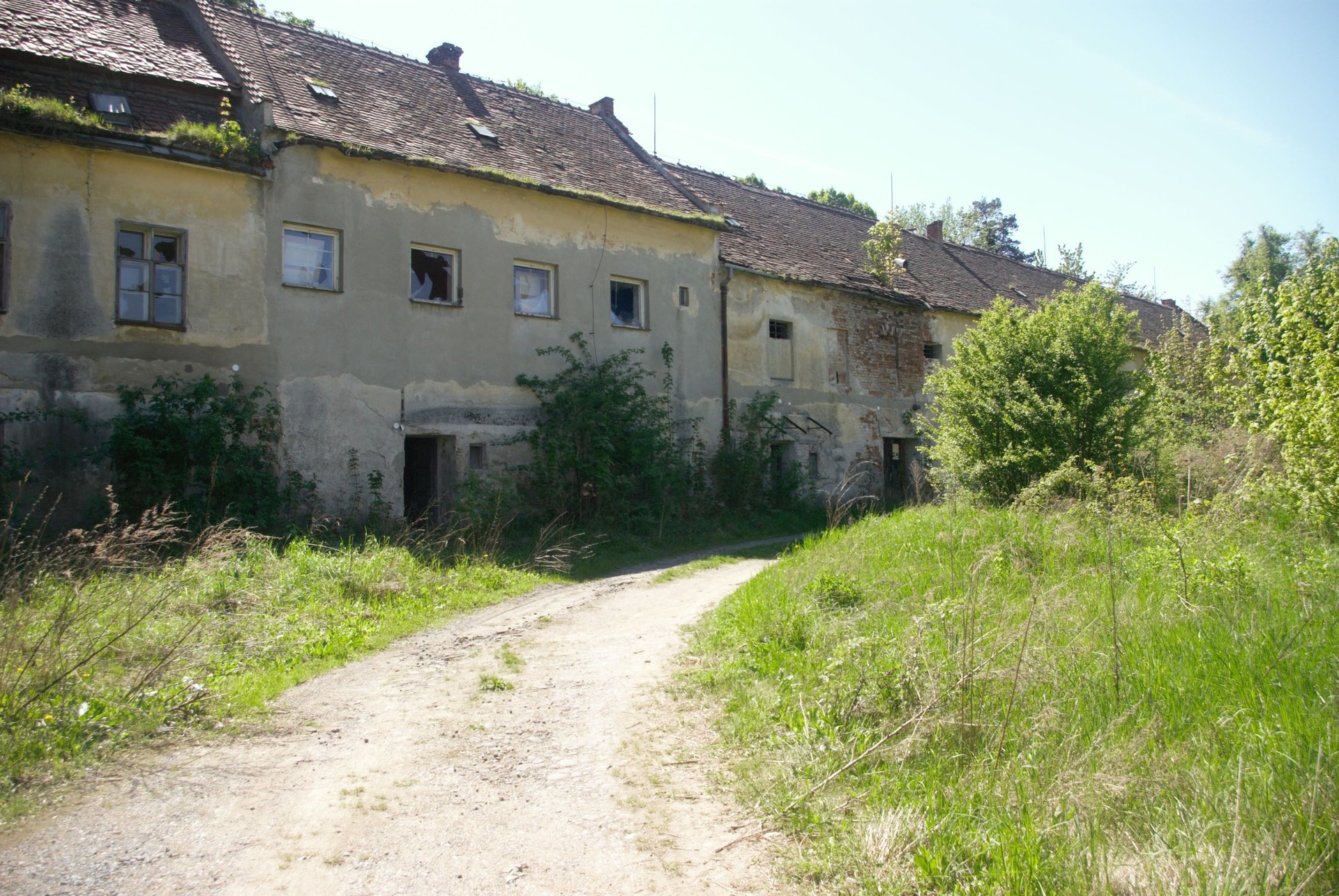 IMGP3256