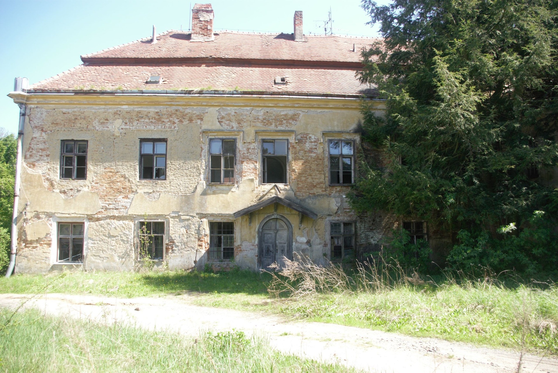 IMGP3257