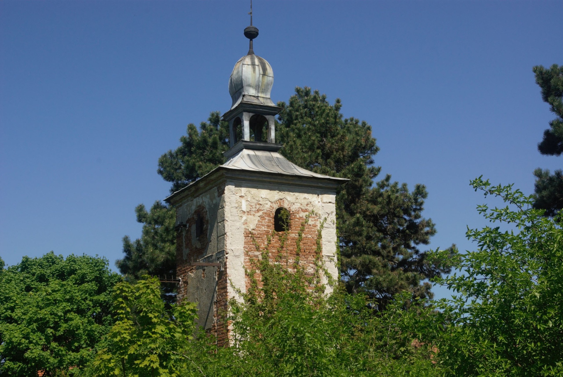 IMGP3261