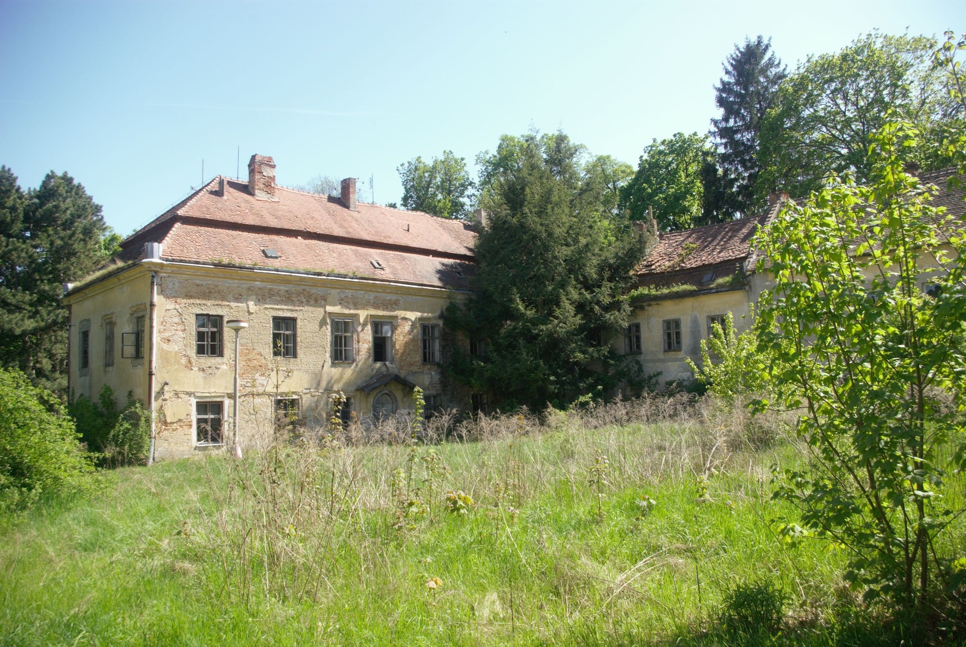 IMGP3300