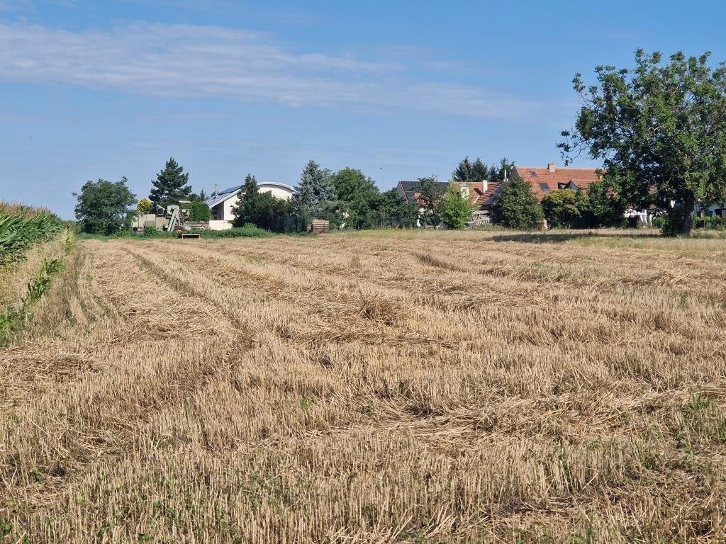 foto_1