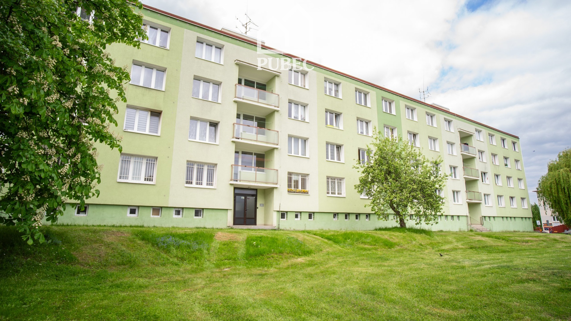 foto-1