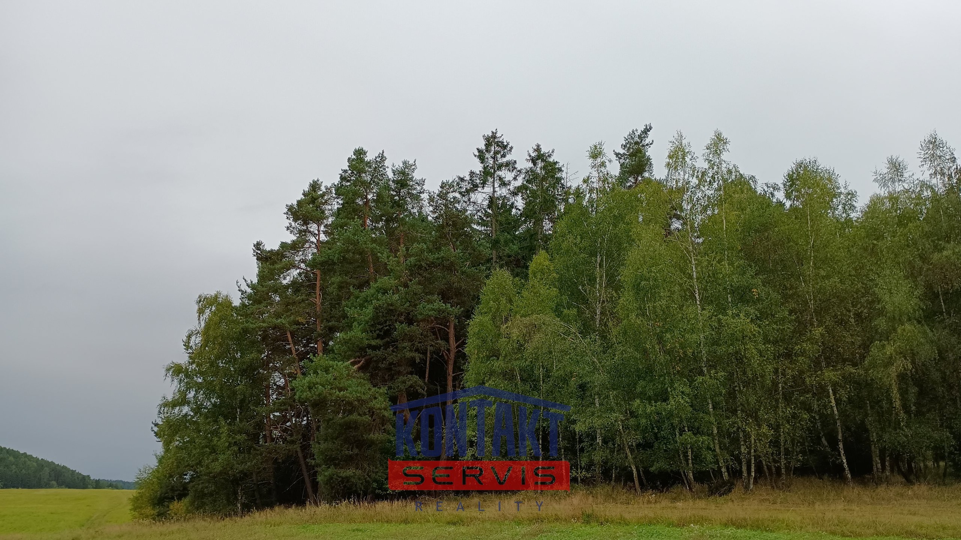 IMG_20250924_093611770