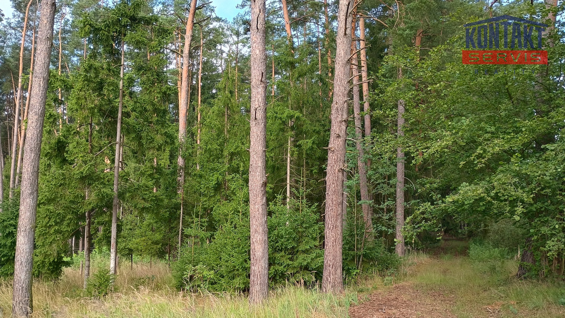 IMG_20260715_091415577_HDR