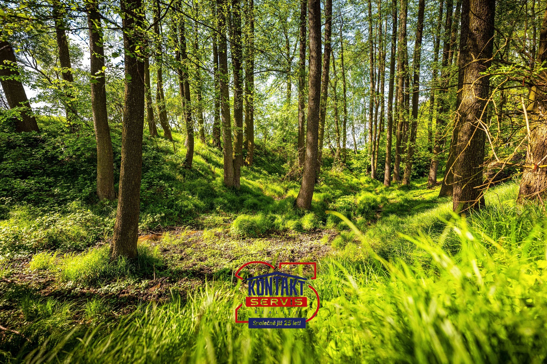 25-05-03 Srubec Na Štětkách Pozemek Foto_08
