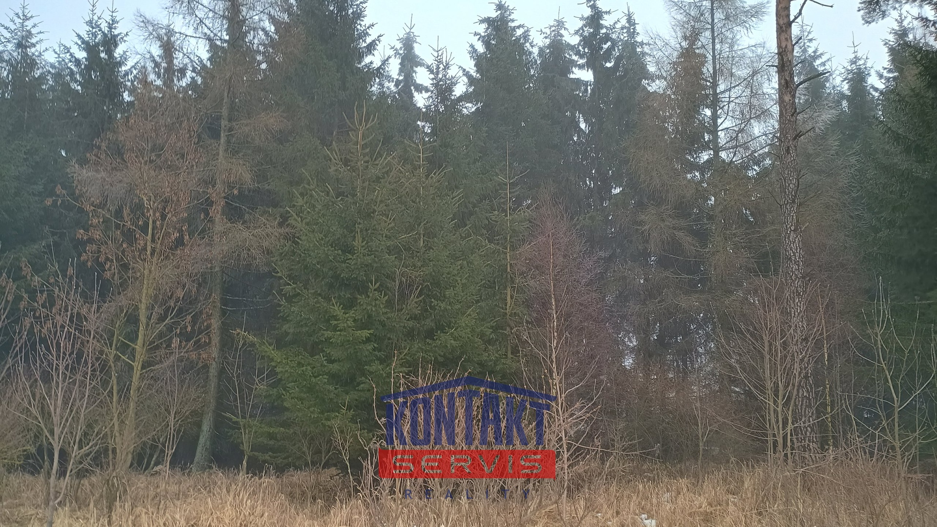 IMG_20260211_092500820_HDR