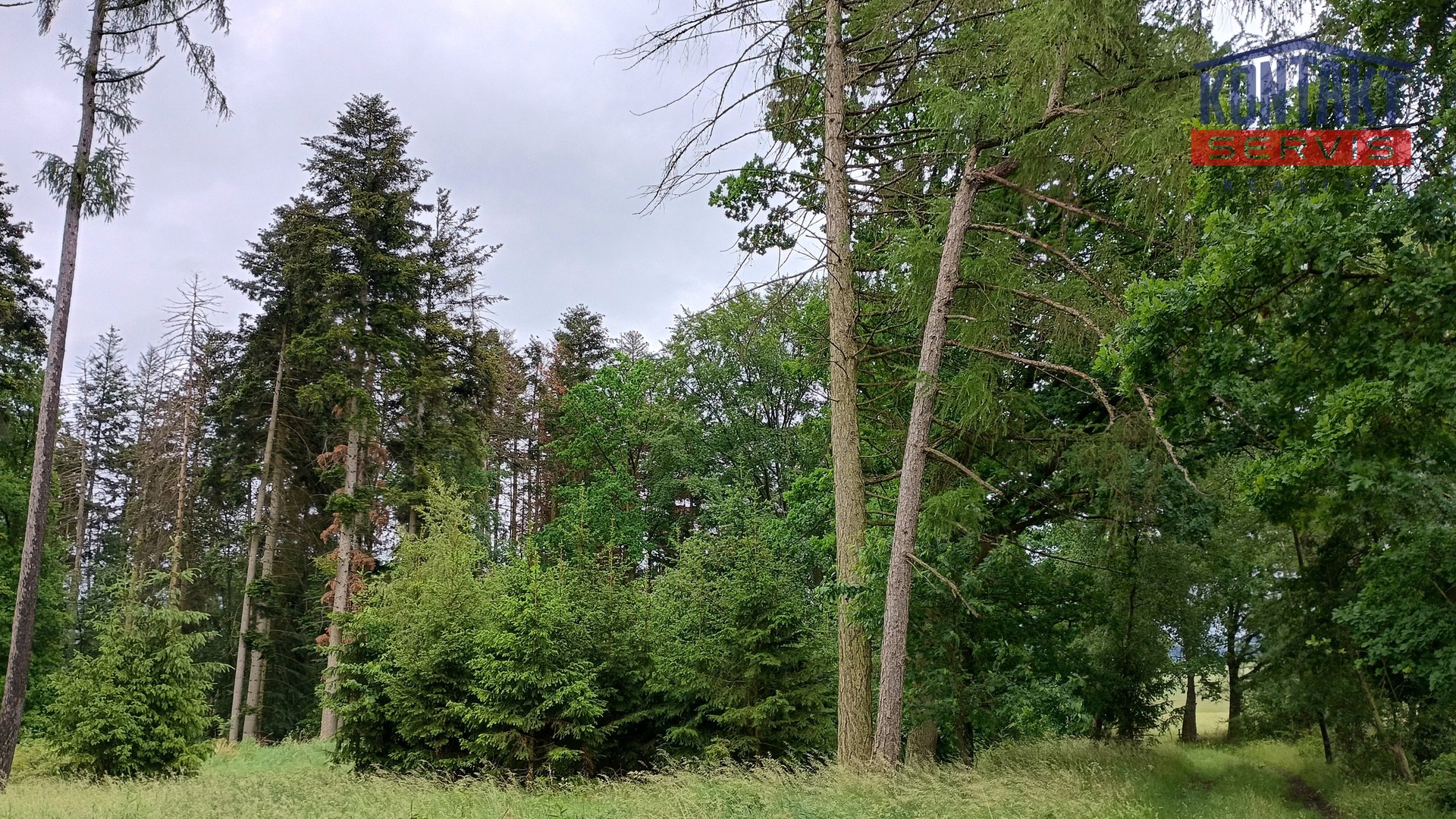 IMG_20260605_103645285_HDR