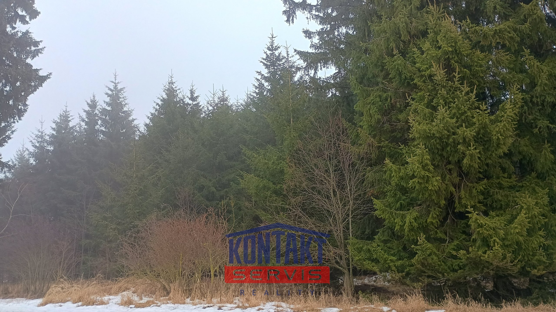 IMG_20260211_092637660_HDR