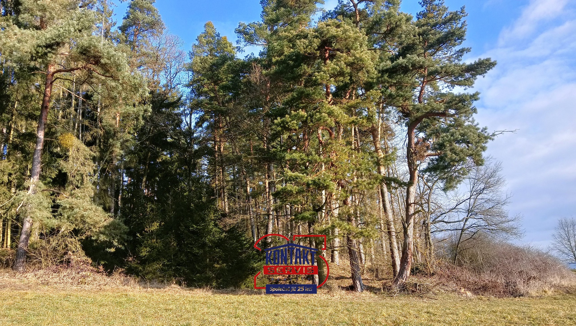 IMG20250228090448