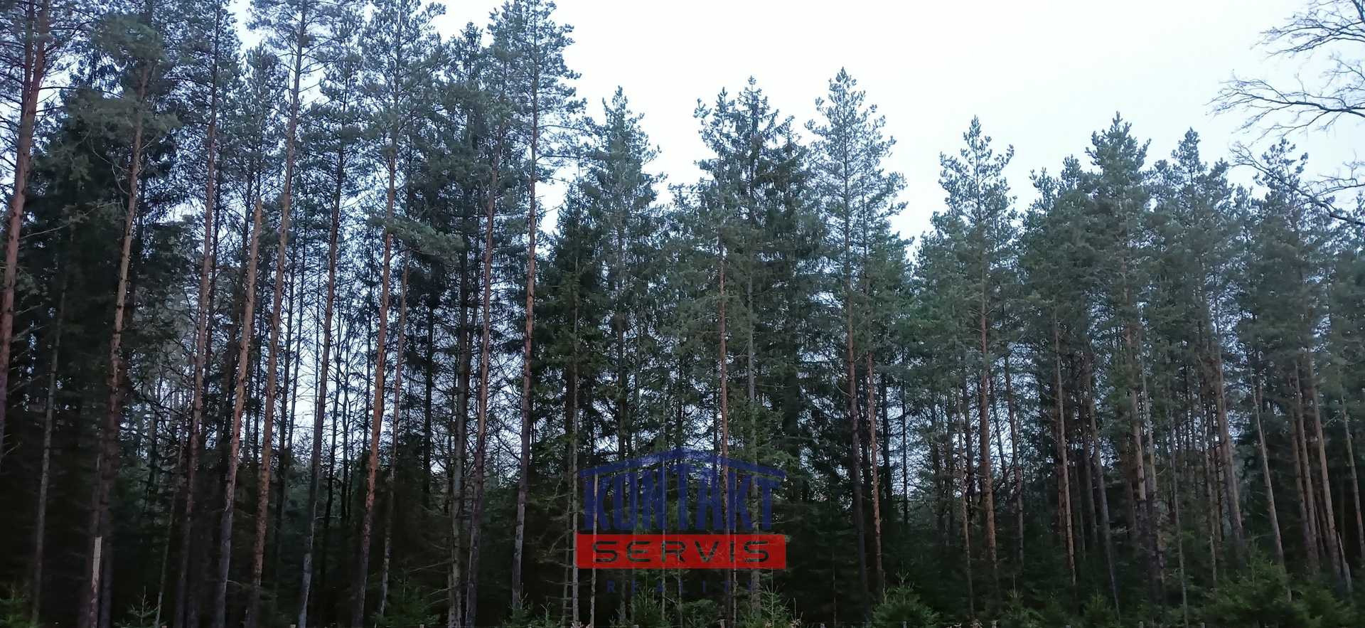 IMG20241205080229