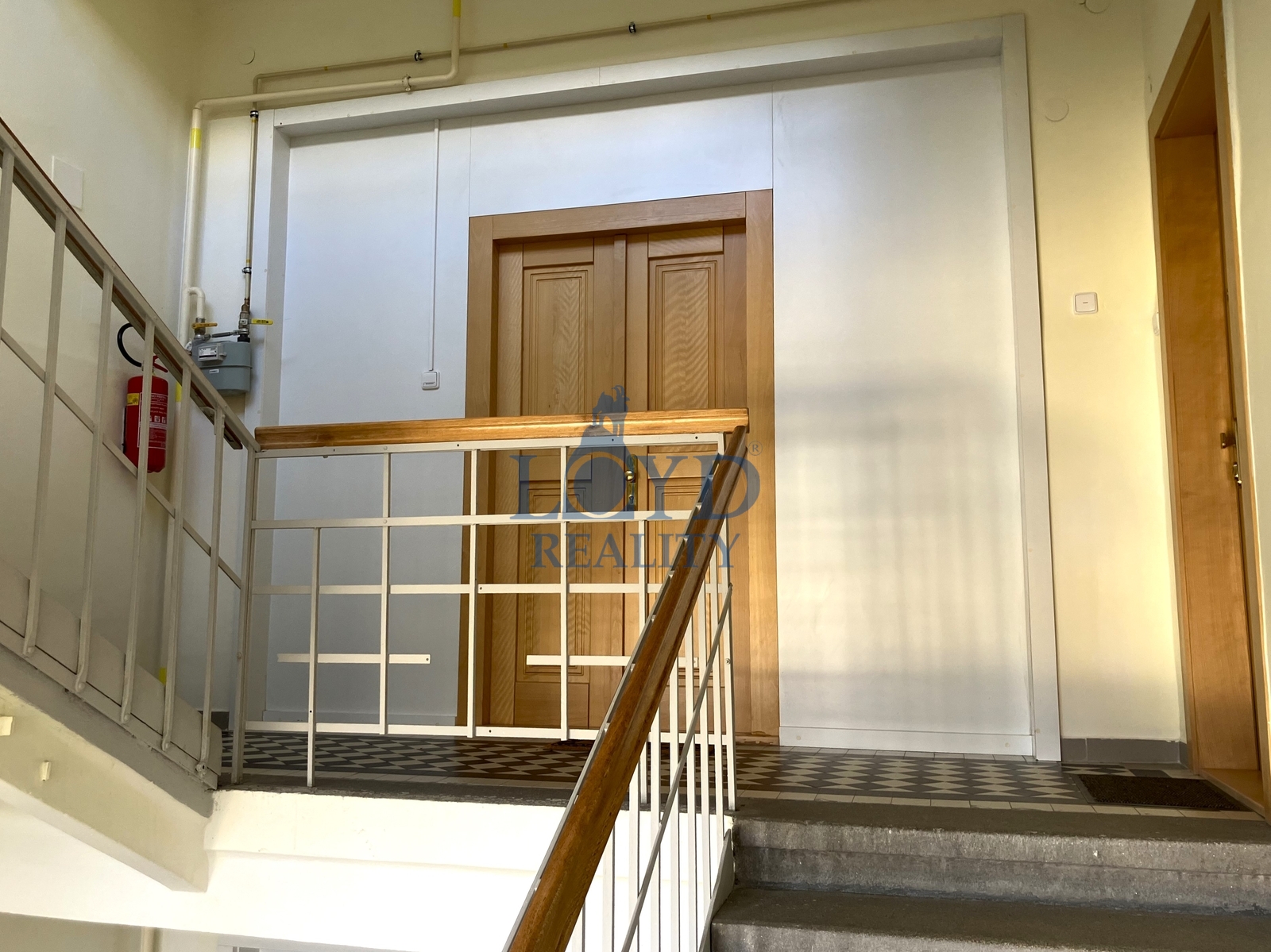 vstupní dveře do bytu