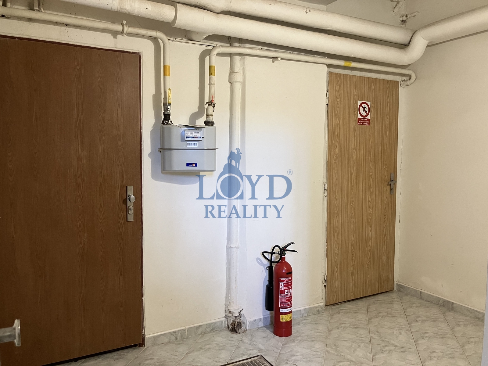 sklepní prostory domu