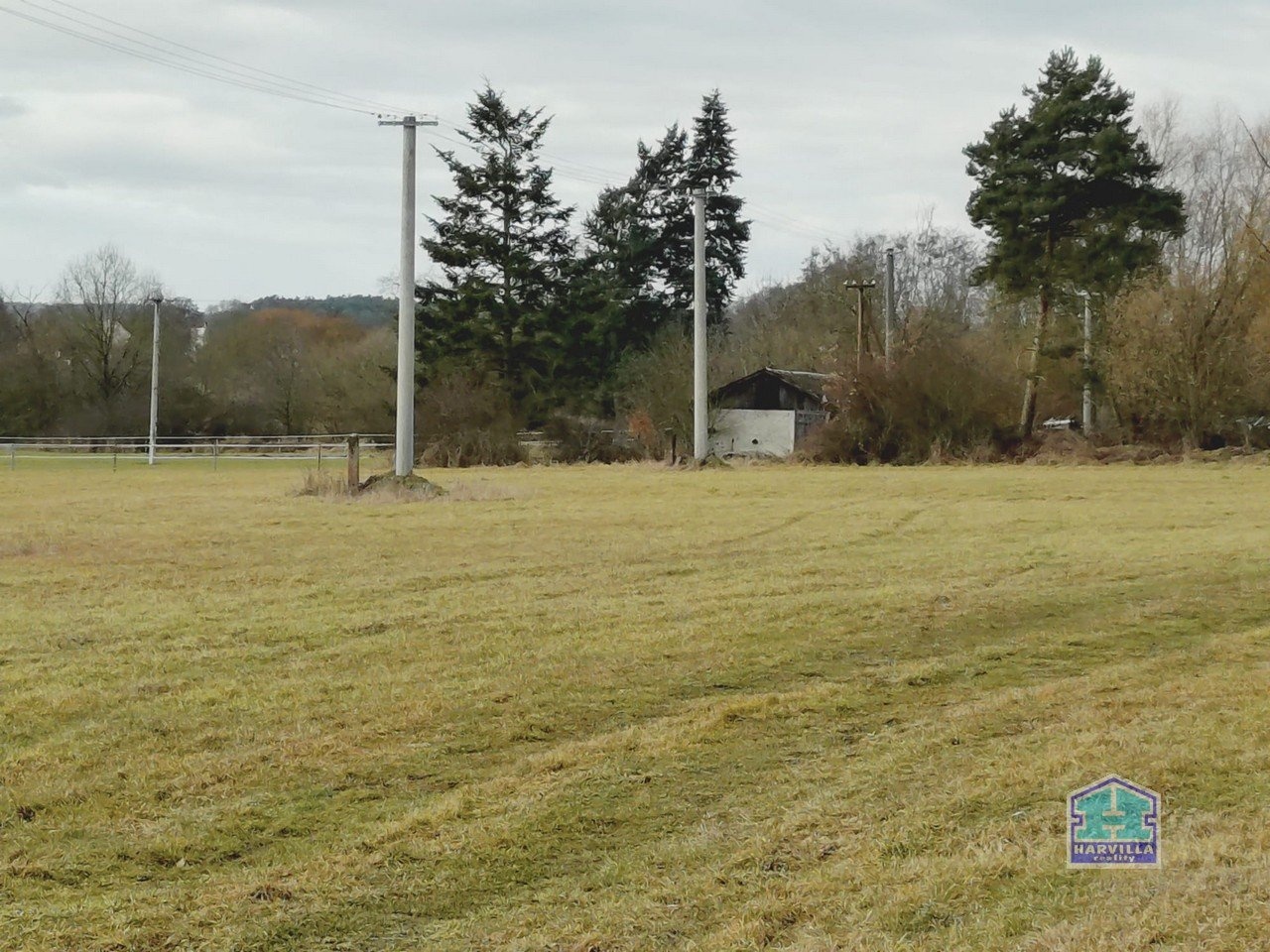 WhatsApp Image 2026-02-12 at 14.27.55 (4)